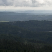 jarvi