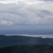 pielisensaaritaikoon