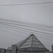 3-greydaywww_0