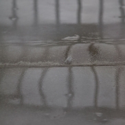4-raining1www